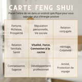 Arbre de Vie 7 Chakras : Cadeau Énergétique pour l'Équilibre - Biloria