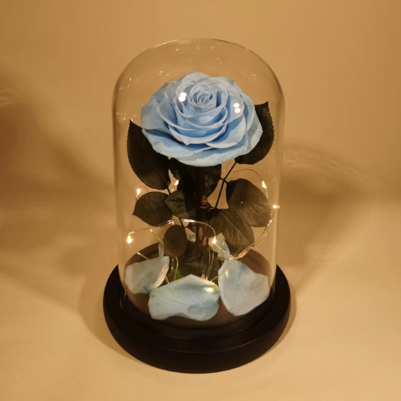 Rose Éternelle Sous Cloche pour un Amour Infini - Biloria