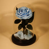 Rose Éternelle Sous Cloche pour un Amour Infini - Biloria