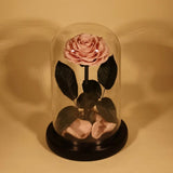 Rose Éternelle Sous Cloche pour un Amour Infini - Biloria