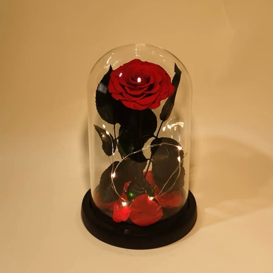 Rose Éternelle Sous Cloche pour un Amour Infini - Biloria
